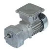 Bison 017-175-0025 Gear Motor 1/12 Hp 63 RPM 230/460V 60/50HZ.
