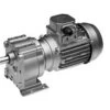 Bison 017-246-0011 Gear Motor 1/4 Hp, 159 RPM 230/460V