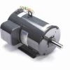 132391.00 Leeson 5 Hp 3600 RPM 230V 182TZ Frame (Rigid Base) TEAO 1-Phase Crop Dryer Motor